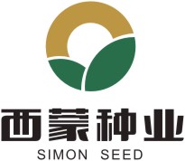 西蒙(meng)瓜子(zi)